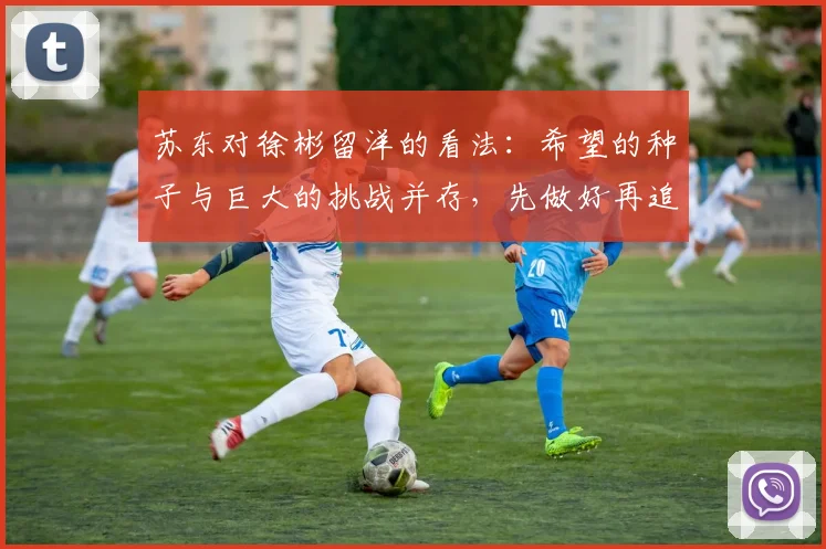 苏东对徐彬留洋的看法：希望的种子与巨大的挑战并存，先做好再追求完美